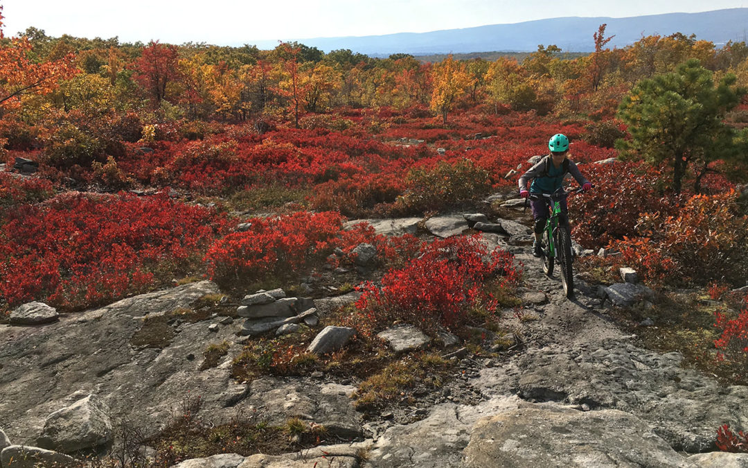 4 Things Women Should Expect When Learning to Mountain Bike